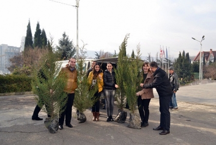 Greening action in the State Audit Office