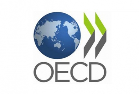 15th plenary session of OECD -- Anti-Corruption Network for Eastern Europe and Central Asia (OECD-ACN)