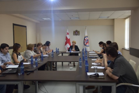 გენერალური აუდიტორის მოვალეობის შემსრულებელი, ნინო ლომჯარია არასამთავრობო სექტორის წარმომადგენლებს შეხვდა