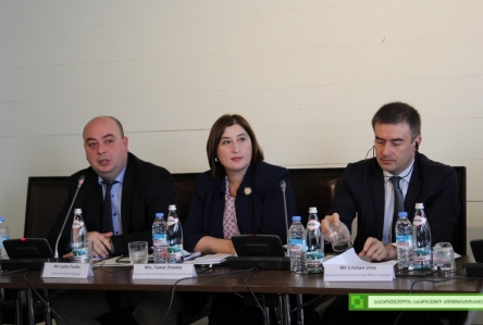 ევროპის საბჭოს ახალი საარჩევნო პროექტი საქართველოში