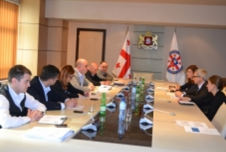 შეხვედრა გერმანელ ექსპერტთან GIZ-ის ორგანიზებით