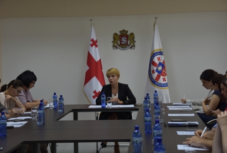 გენერალური აუდიტორის მოვალეობის შემსრულებელი, ნინო ლომჯარია არასამთავრობო სექტორის წარმომადგენლებს შეხვდა